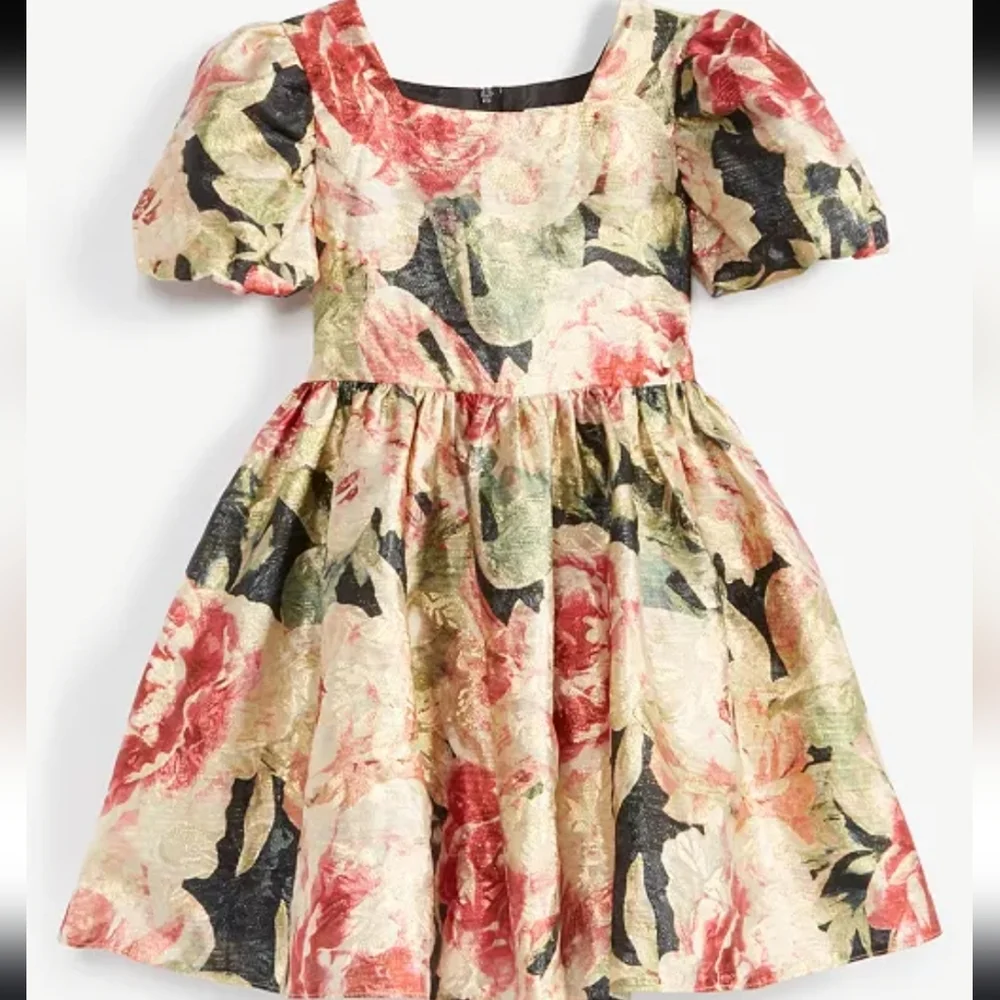 Rare Editions‎ Big Girls Floral Organza Dress Size 14